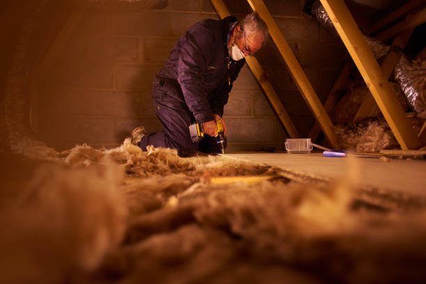 Best Insulation Installation Services in Pineville, NC